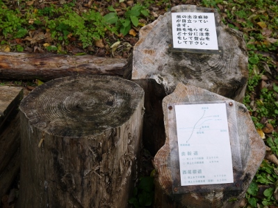 a0199247_1733497.jpg