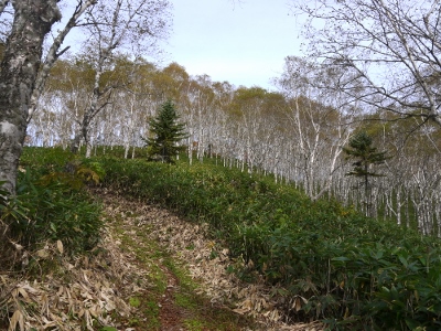 a0199247_1740469.jpg