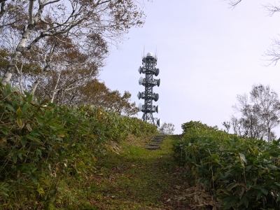 a0199247_1742243.jpg