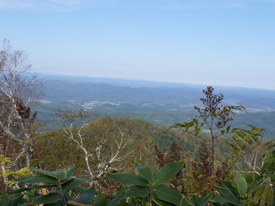 a0199247_17452175.jpg