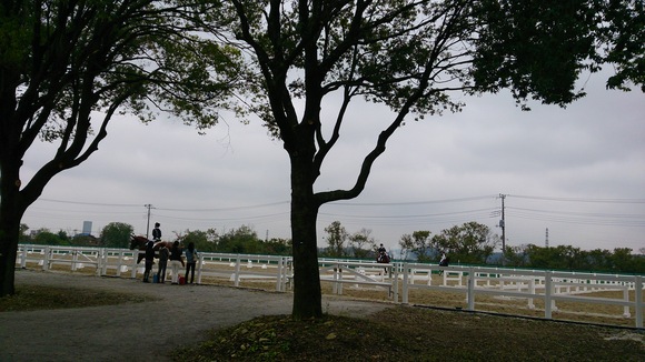 f0031961_1110126.jpg