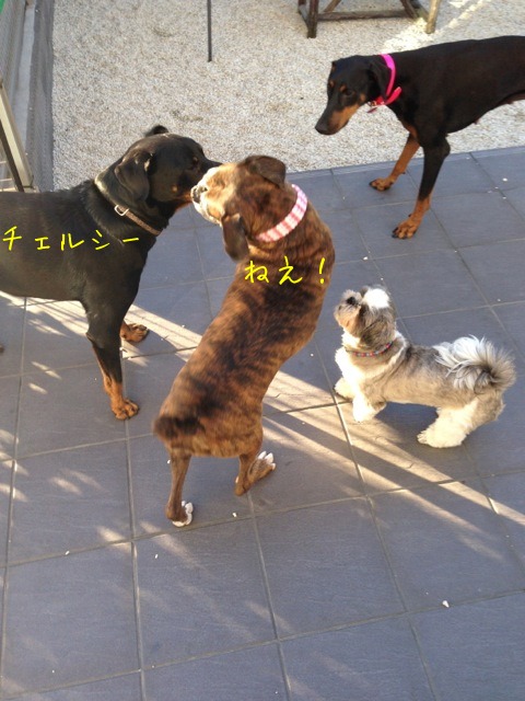 f0177261_251026.jpg