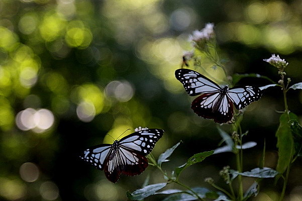 f0215964_857561.jpg