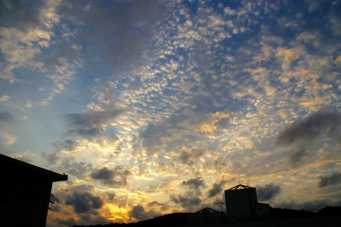 e0045768_21581121.jpg