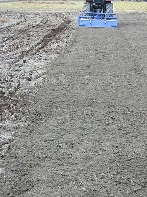 e0098473_2258159.jpg