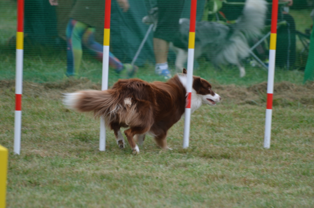 c0268774_2240310.jpg