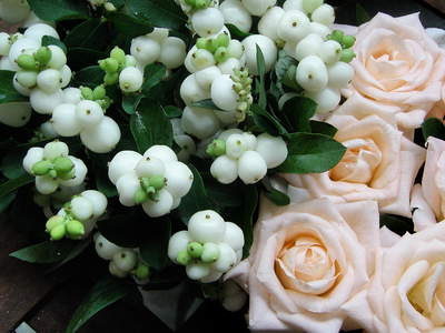 f0007380_16545841.jpg