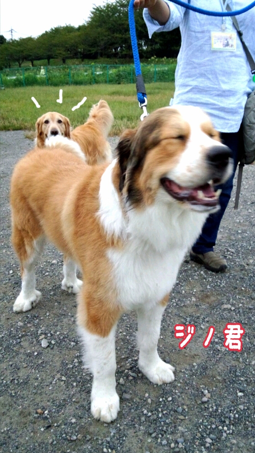 f0230380_029286.jpg