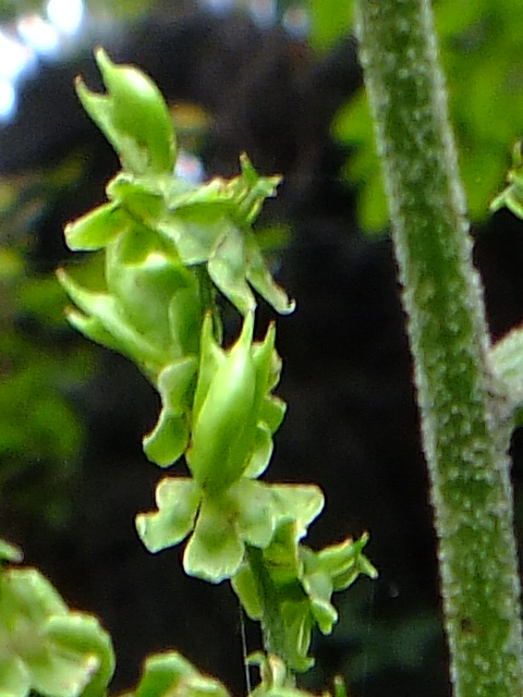 e0145782_15311610.jpg