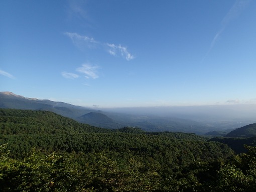 a0279883_6212219.jpg