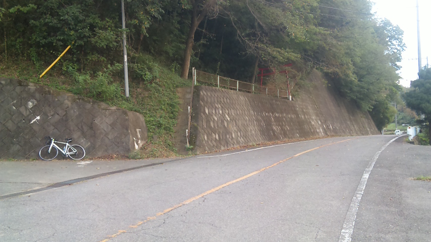 f0131183_1211153.jpg