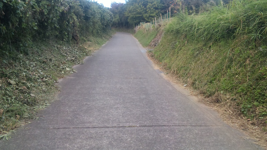 f0131183_1213325.jpg