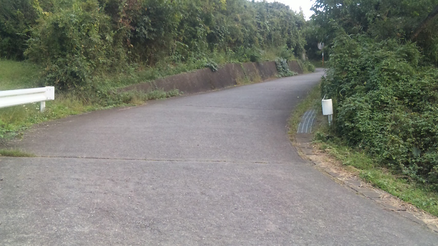f0131183_12134691.jpg