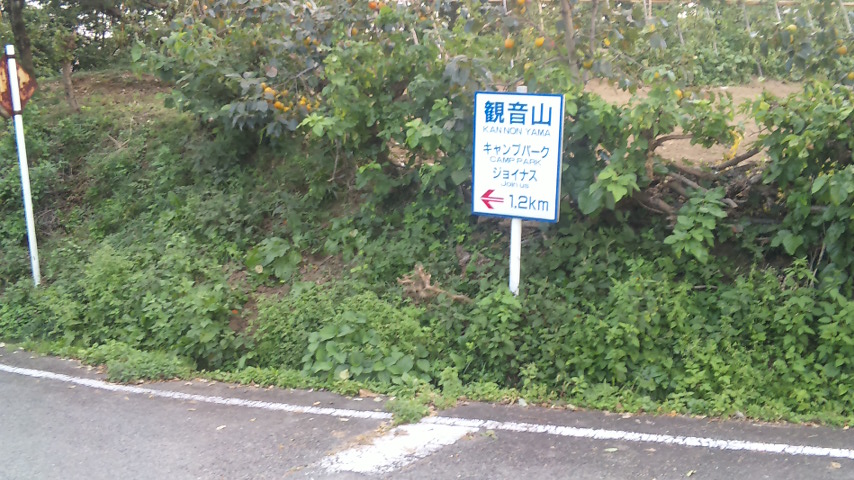 f0131183_1294648.jpg