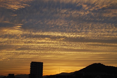a0133886_17215217.jpg