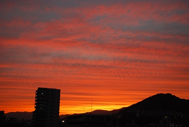 a0133886_17221844.jpg