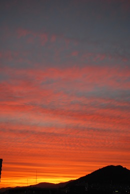 a0133886_17223082.jpg