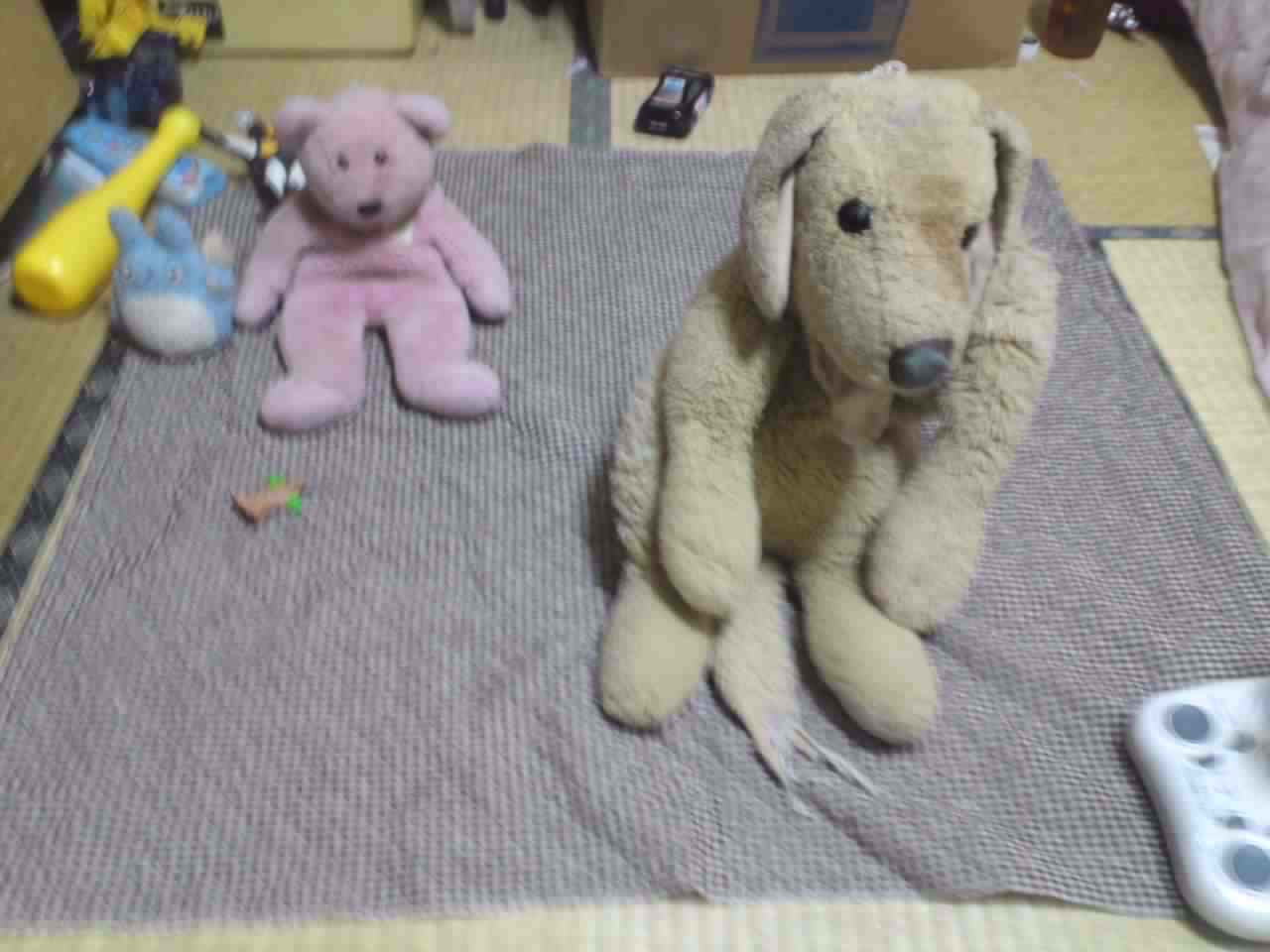 c0035386_16292858.jpg
