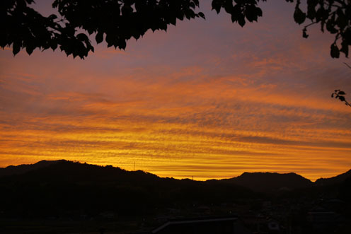 f0222692_9523872.jpg