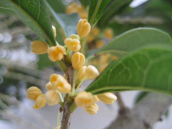 f0201297_9442589.jpg