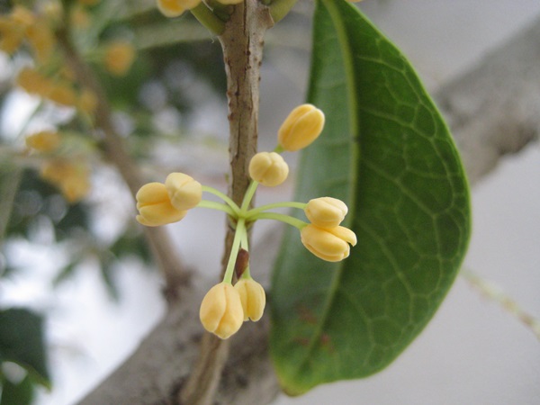 f0201297_9444856.jpg