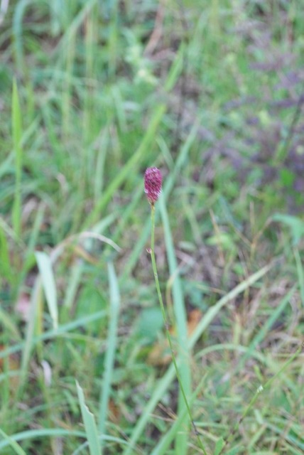 e0025300_23122723.jpg