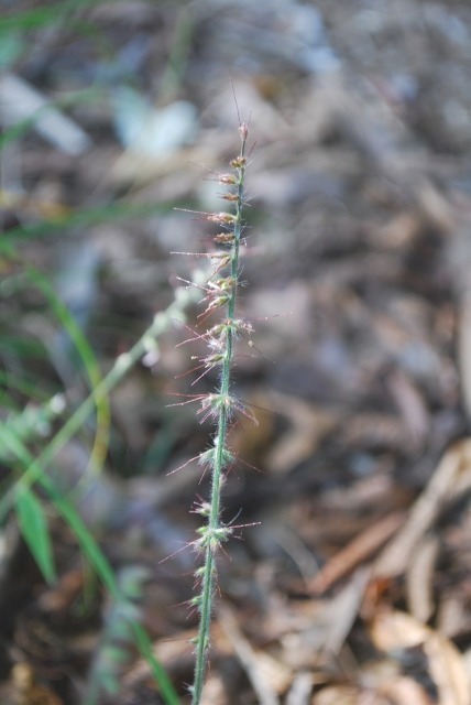 e0025300_23153597.jpg
