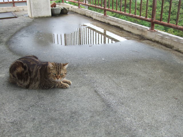 c0187403_1525470.jpg