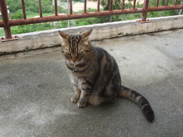 c0187403_1551788.jpg