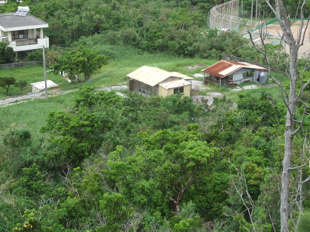c0187403_1595521.jpg
