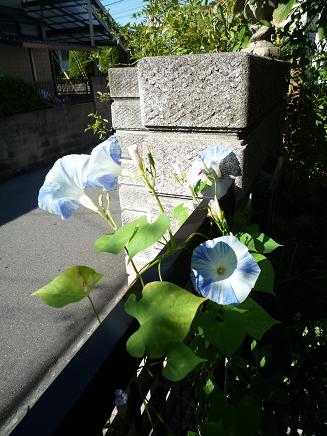 e0234004_20134540.jpg