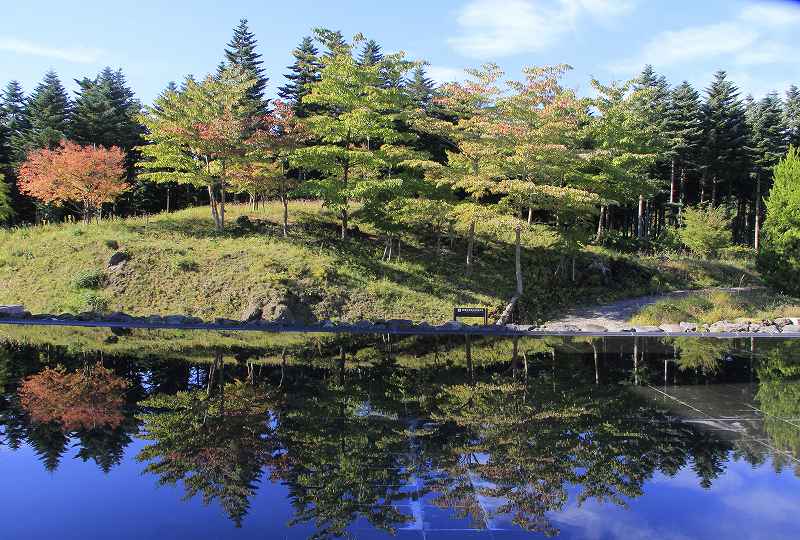 a0188405_1927985.jpg