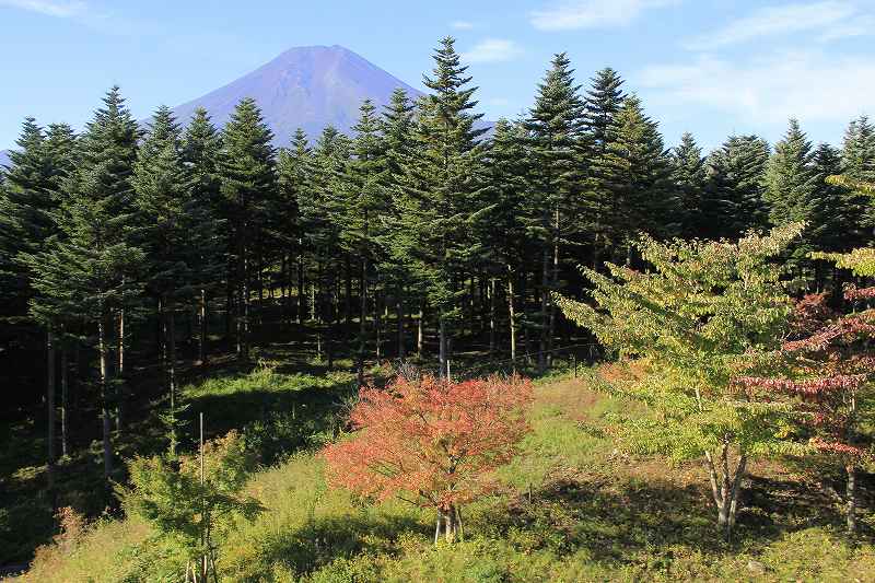 a0188405_1928628.jpg