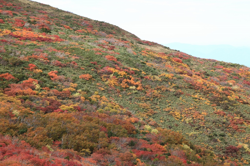 b0050305_13154333.jpg