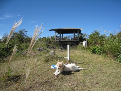 d0116205_10345338.jpg