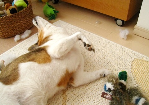 c0084117_20113134.jpg