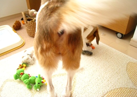 c0084117_20142174.jpg