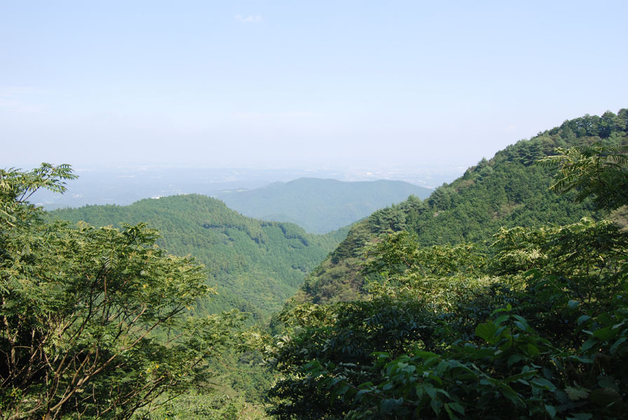 f0206417_13393371.jpg