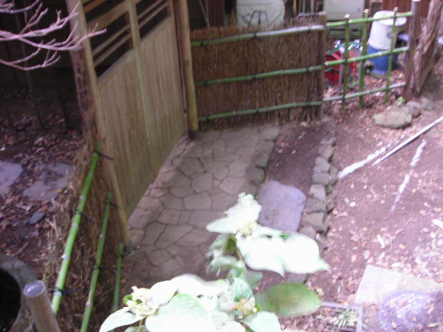 b0096418_17105710.jpg