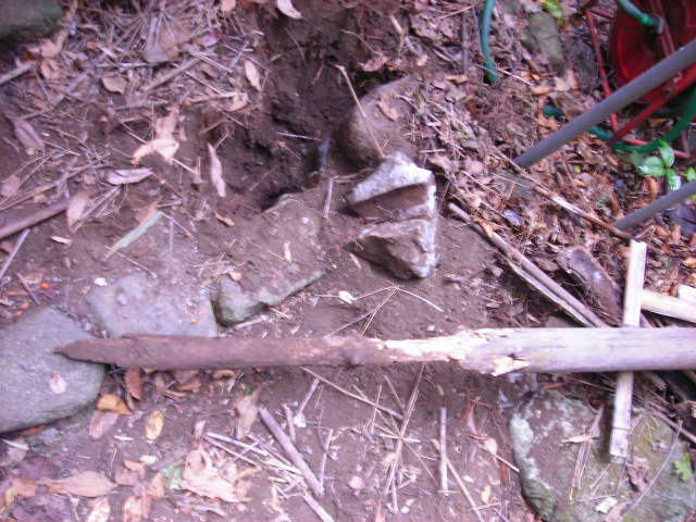 b0096418_1721392.jpg