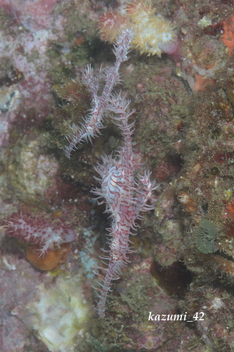 b0164920_20421660.jpg