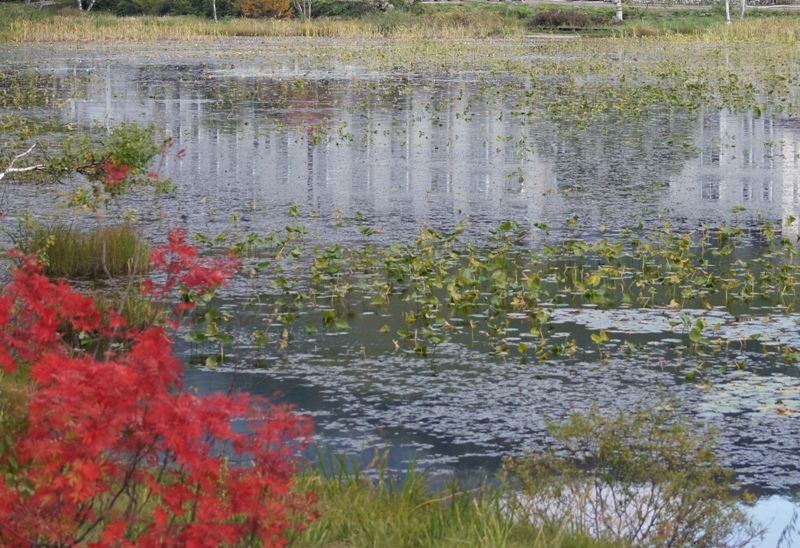 a0304423_23474988.jpg