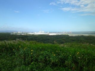 b0102728_14222131.jpg