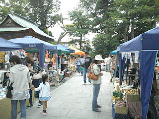 f0217229_7135133.jpg