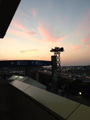 e0091230_856129.jpg
