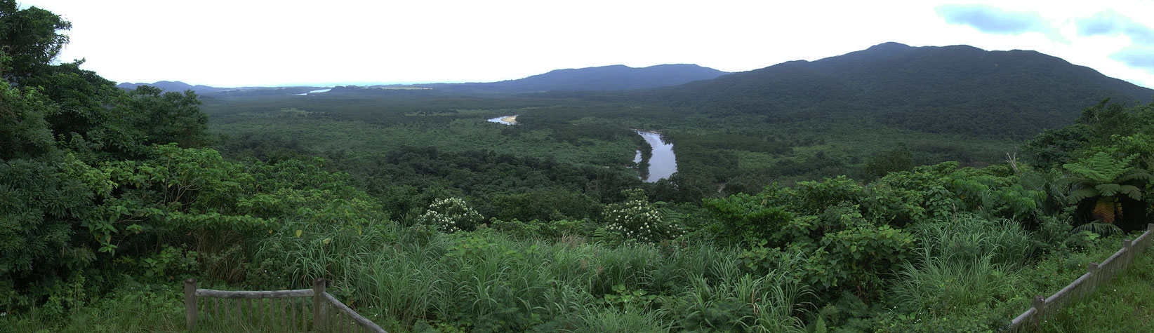a0126632_16543091.jpg