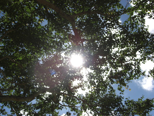 a0163738_2365032.jpg