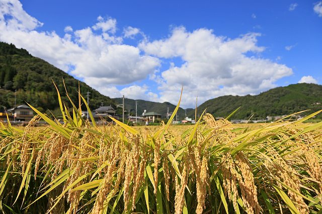 a0242438_18385570.jpg