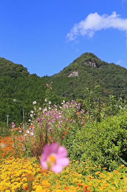 a0242438_1838932.jpg