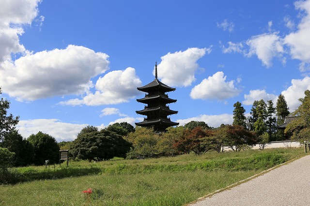 a0242438_18401867.jpg
